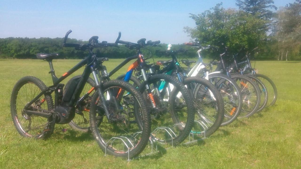Gite En Forterre Druyes-les-Belles-Fontaines Zewnętrze zdjęcie